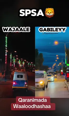 #somalitiktok #somalilandtiktok💚🤍❤ #somalilandtiktok #somaligirls 