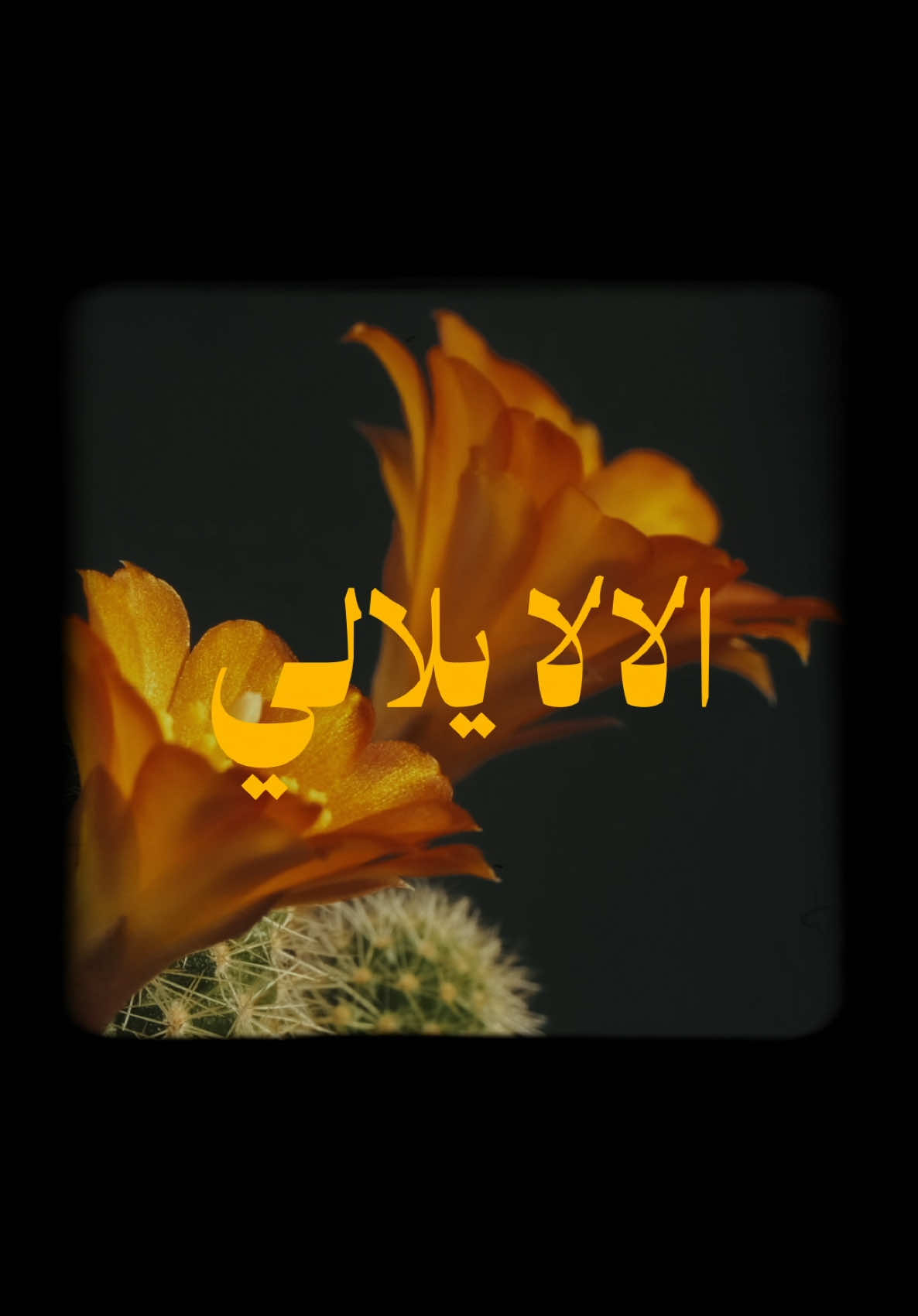 الالا يلالي  الاغنية الاصلية للفنان المغربي الراحل عبد الصادق شقّارة 🇲🇦