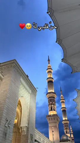🥹♥️ #المدينه_المنوره #المسجد_النبوي #alhamdulillah #يارب❤️ #foryoupage 