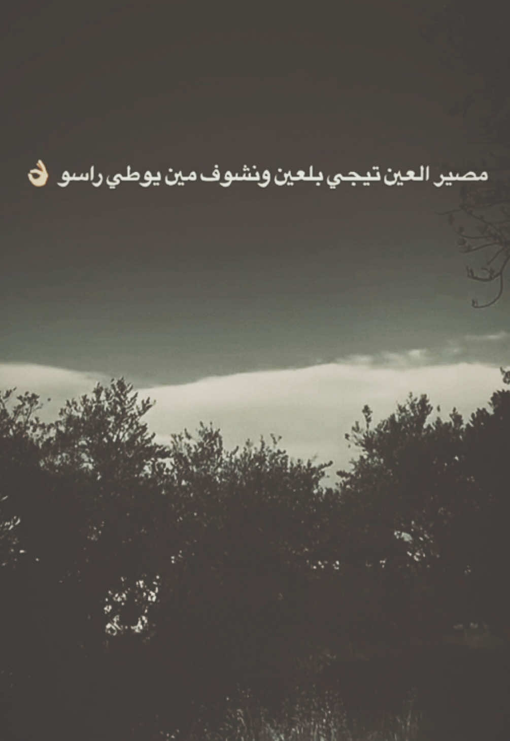 مصـير الـعين تسجي بلعين ونشـوف ميـن بوطـي راسـو .🖤 👌🏻.  `#TK #عبراتكم_الفخمه📿📌 #قناتي_تليجرام_بالبايو🖤👌🏿 #01tmx✌🏿 #اكسبلور #ستوريات #تعلوانستا #01 #01adana #tiktokindi #ramazan2025 #الشعب_الصيني_ماله_حل😂😂 #CommunityFest #ترند #تيك_توك 