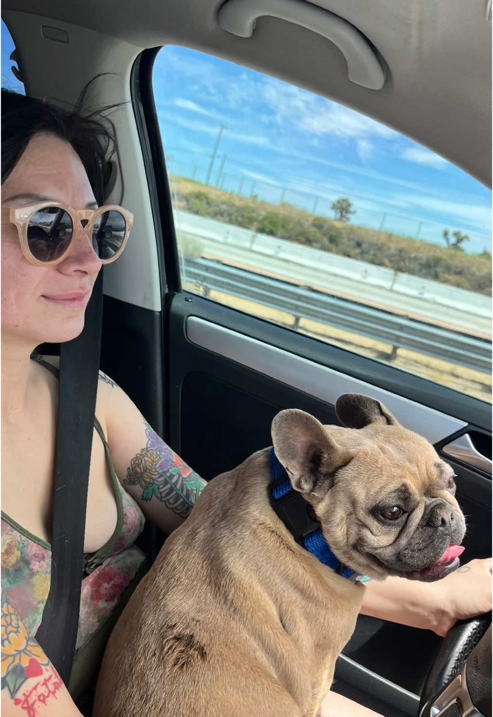 shout out to all the other mothers out there 🤗💐 dont forget to like and subscribe! 🤪 #fyp #foryoupage #frenchbulldog #mrbeast #mothersday 