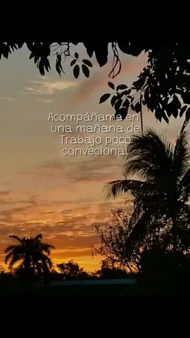 Acompáñame a una mañana de trabajo viviendo en la playa todos los días #viaje #viajes #naturaleza #playa #mar #travel #paratii #fyp #traveltiktok #viajeros #amanecer #rutina #Vlog #vlogs #ocean #snorkeling #turismo #tour #paddleboard #paddleboarding 