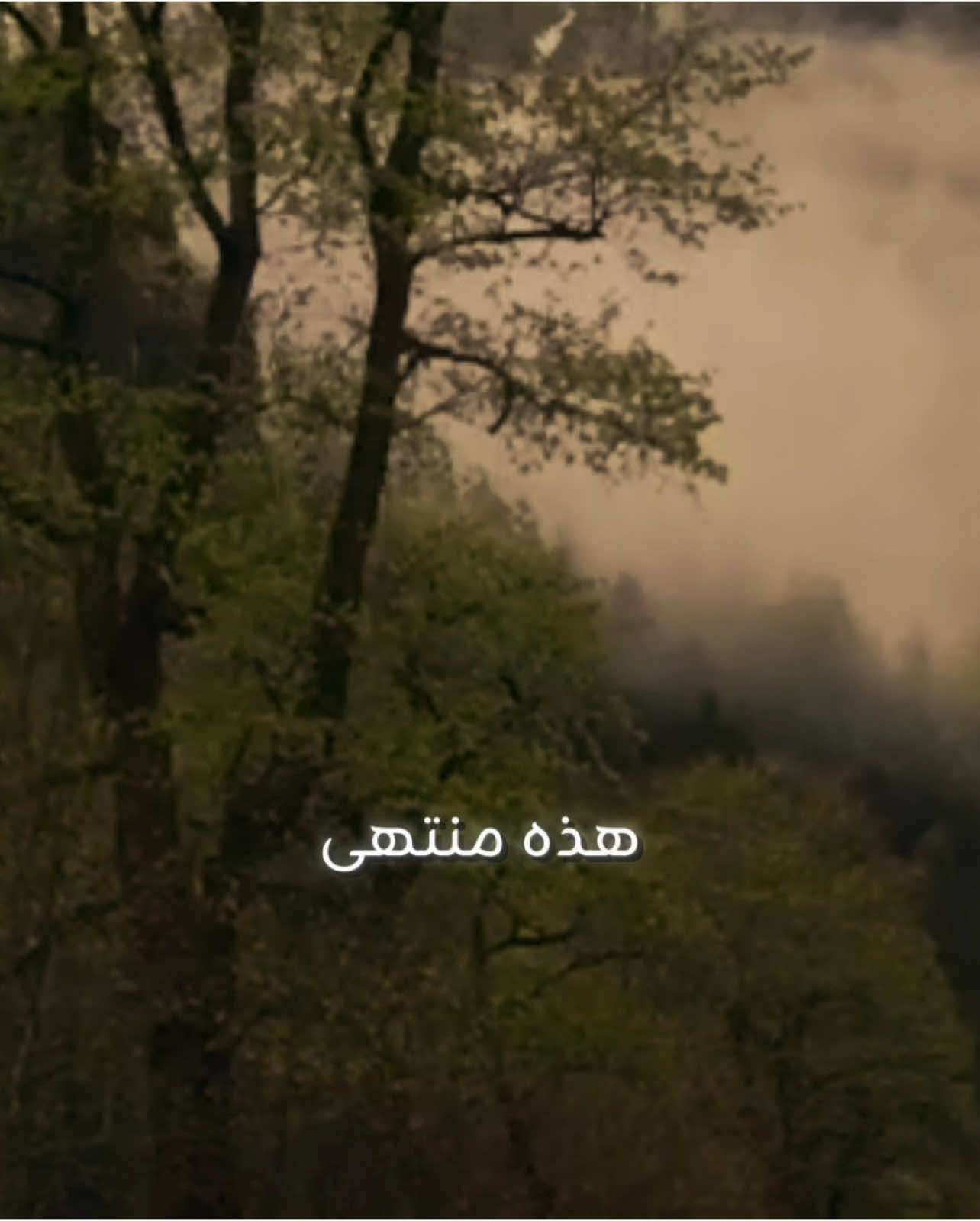 هــذه منتــهي سعادة ابن ادم 💛💜#كسبلور #قصص_واقعية #مقاطع_دينية 