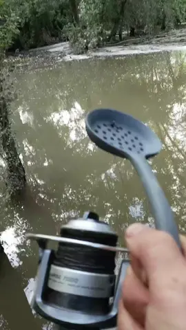 #forțaorăștie #foryoupage❤️❤️ #crapsălbatic #pescuit #natură 