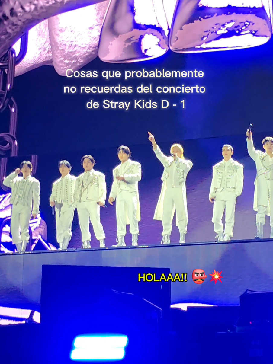 Cosas que pasaron durante el concierto de Stray Kids en México #straykids #straykidsstay #bangchan #felixstraykids #hyunjin #seungmin #changbin #hanstraykids #leeknow #jeonginstraykids #hyunjinskz 
