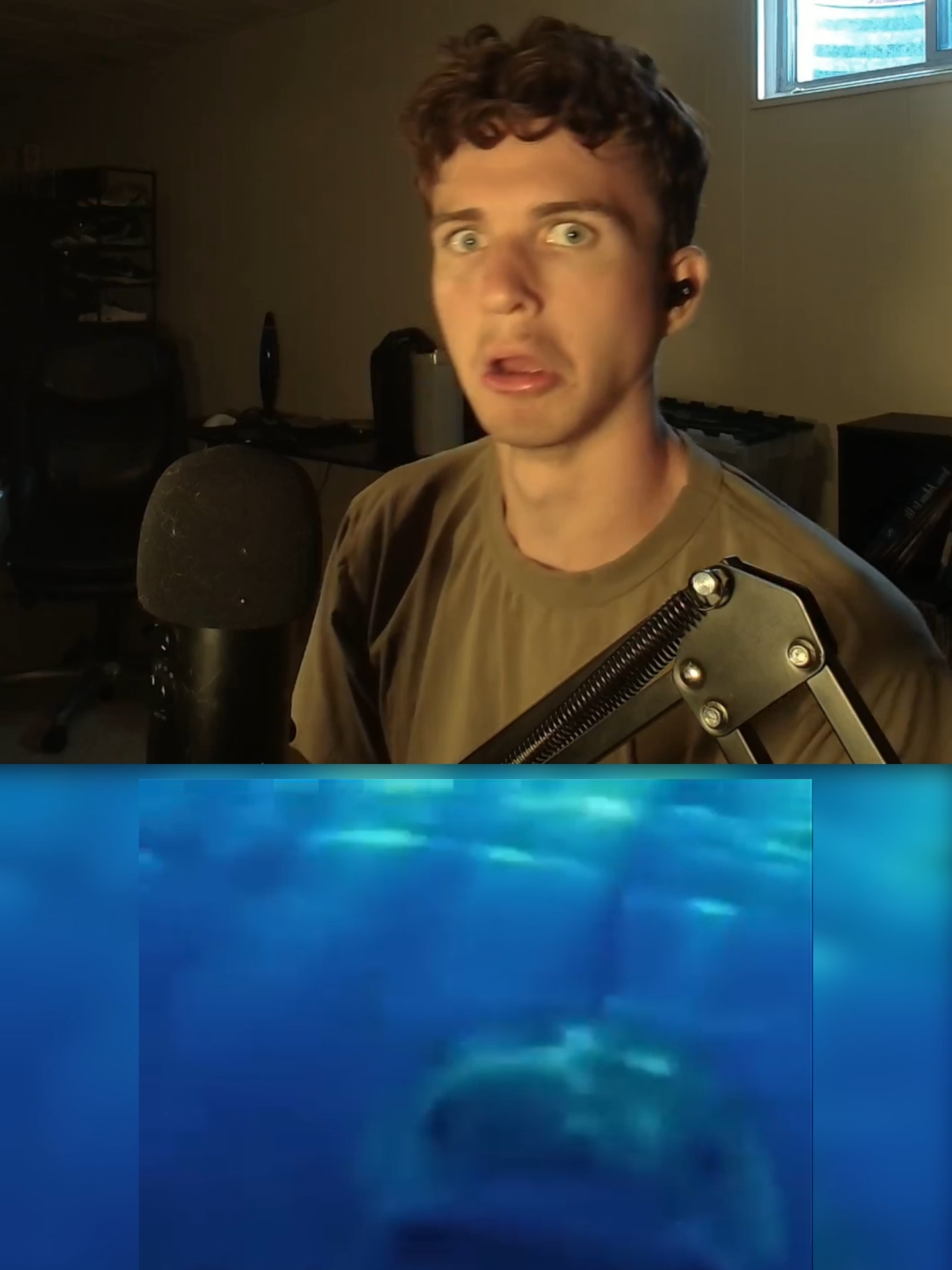 bro definitely died 💀 #hurly #sharks #water #diving