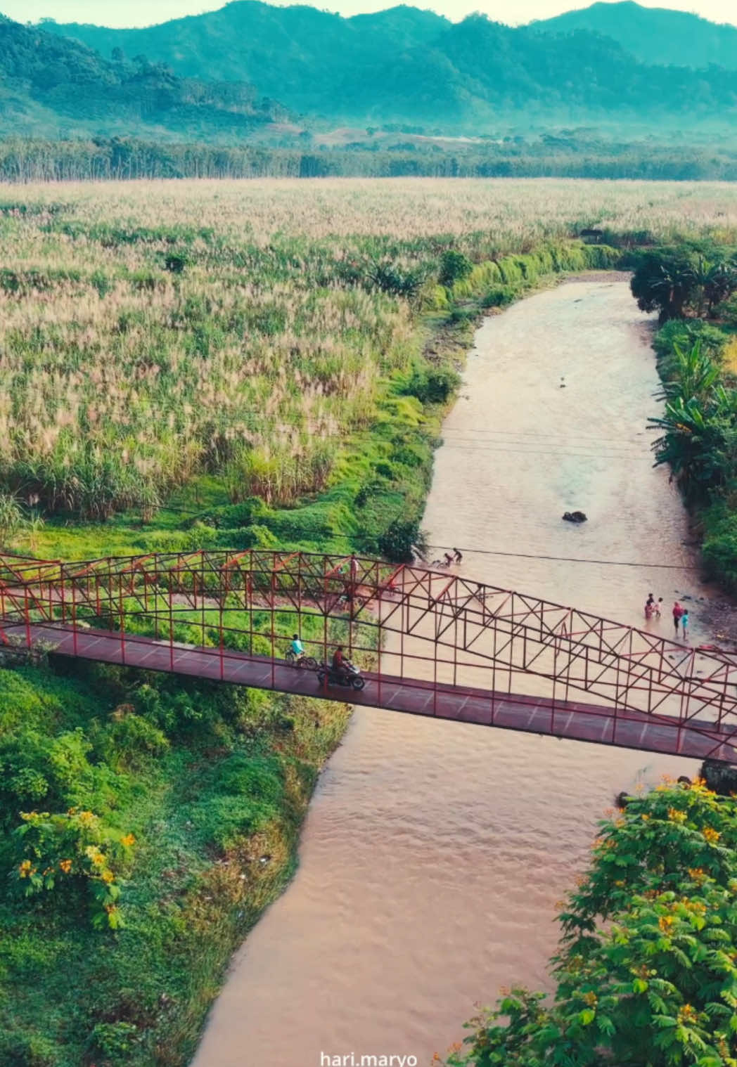 Ternyata di Banyuwangi masih banyak tempat indah seperti ini🍃🍃 📍Kalitajem, Glenmore #dronebanyuwangi #banyuwangi #glenmore #jlsglenmore #nature 