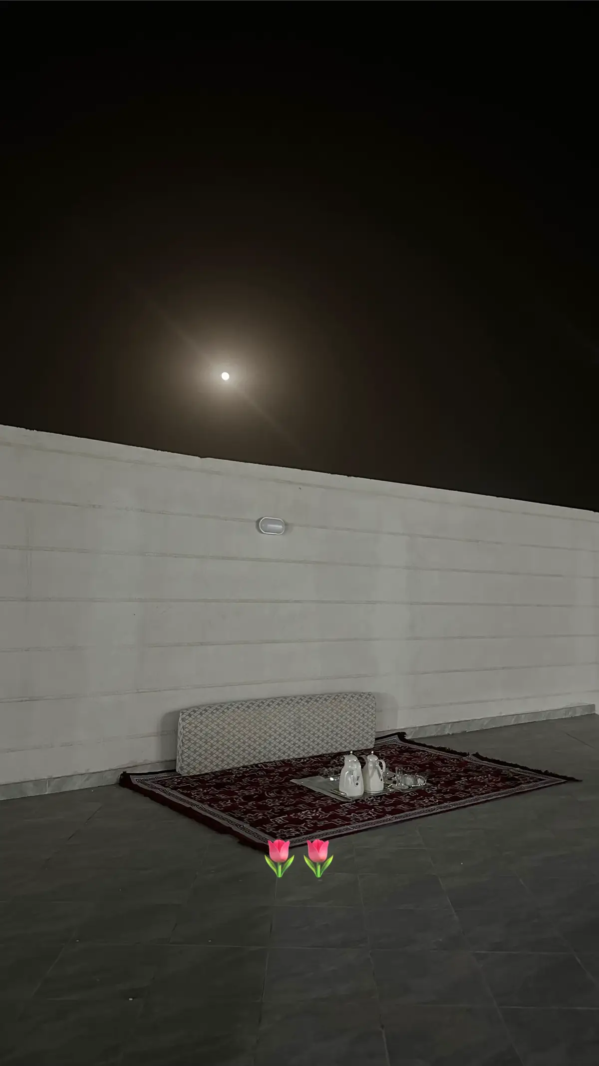 #♥️🌿 #تصويري #اكسبلور #أكسبلور #اكسبلورexplore_ 