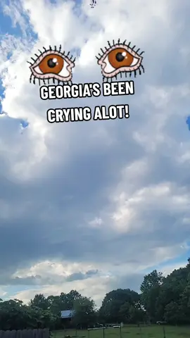 Georgia's been crying! #georgia #georgiaweather #rain #raining #rainydays #rainyday #weather 