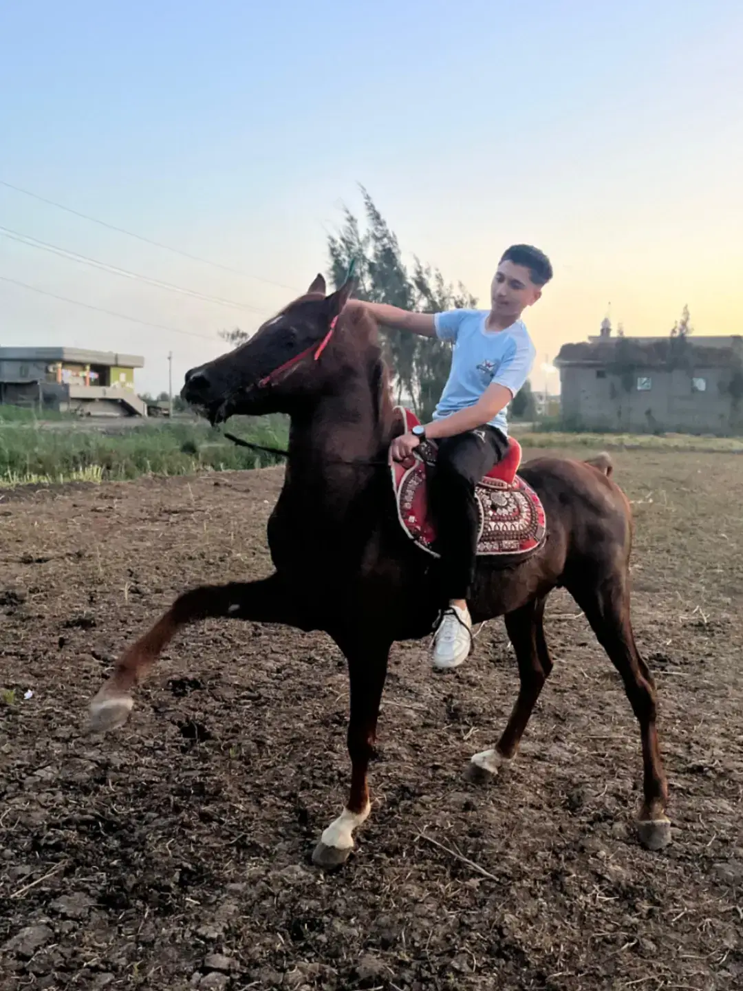 #شُــــــــــــــبًــــــــــــآرةّ🥷🦅 #المنزلة_بلدنا🎭 #خيل_وخياله🐎 