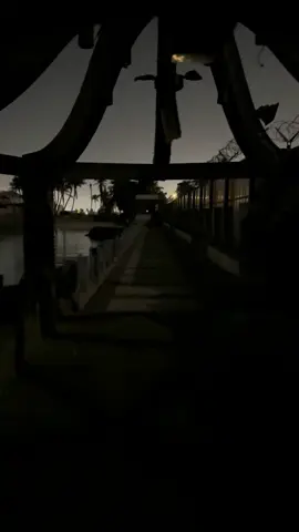 البارحه ربي كتب لي ومريت درباً عليه بروق الأحباب لاحت #4u #road #dark 