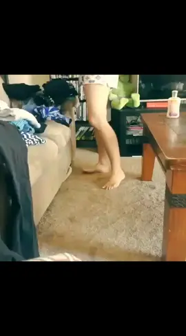 the little paw #catlife 