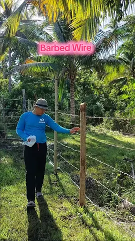 protektado ang bakod mo sa barbed wire na natoo‼️ #barbedwire 