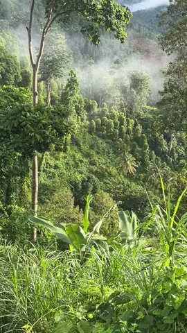 Vibes#pagihari#kolakautara 