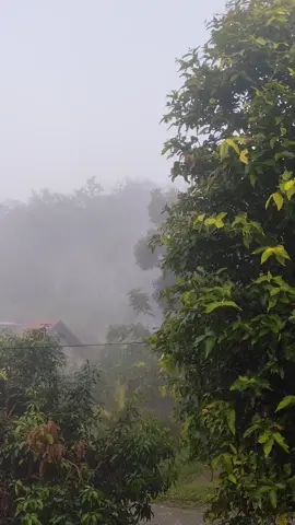 embun pagi hari#fypシ゚ #tren#embun #pagihari #pedesaan #sorotan #blora24jam #aesthetic #vibes #foryou #xybcza #CapCut #fyppppppppppppppppppppppp 