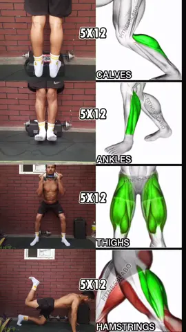 Leg Workout at Home | Full Lower Body Dumbell Routine 🦵 ✅️