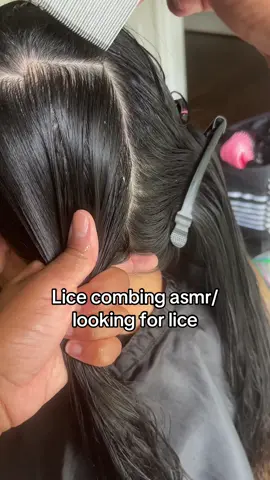 Lice combing asmr/ looking for lice #lice #fyp #hair #school #momlife 