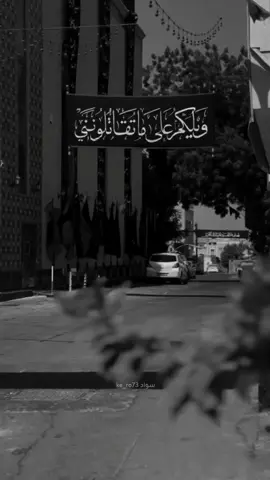 موطني ياابو علي #مصطفى_السوداني #محرم #مشايه_لاربعينيه #خدام 