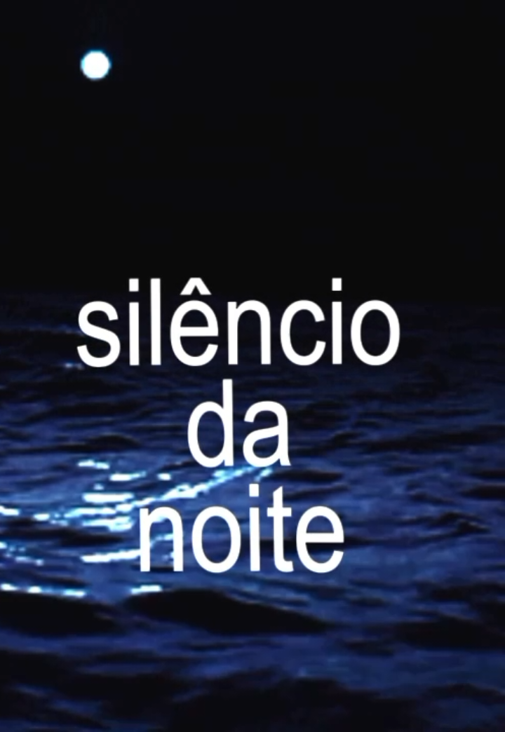 às vezes no silêncio da noite... #sozinho#caetanoveloso #fyp #funny #lycris 