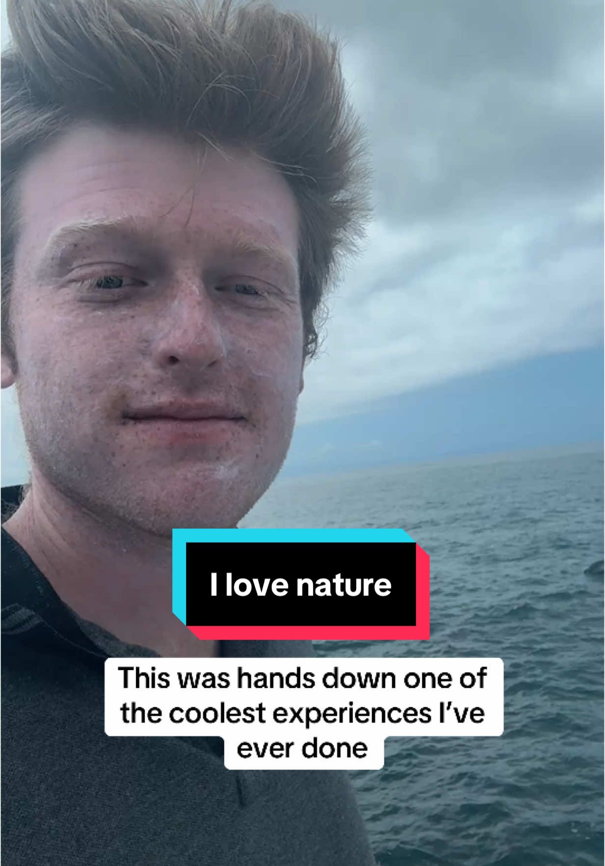 Who else spotted the seal?! #wildlife #nature #animalplanet #animal #ocean #savetheenvironment 