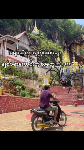 🙂‍↔️💐