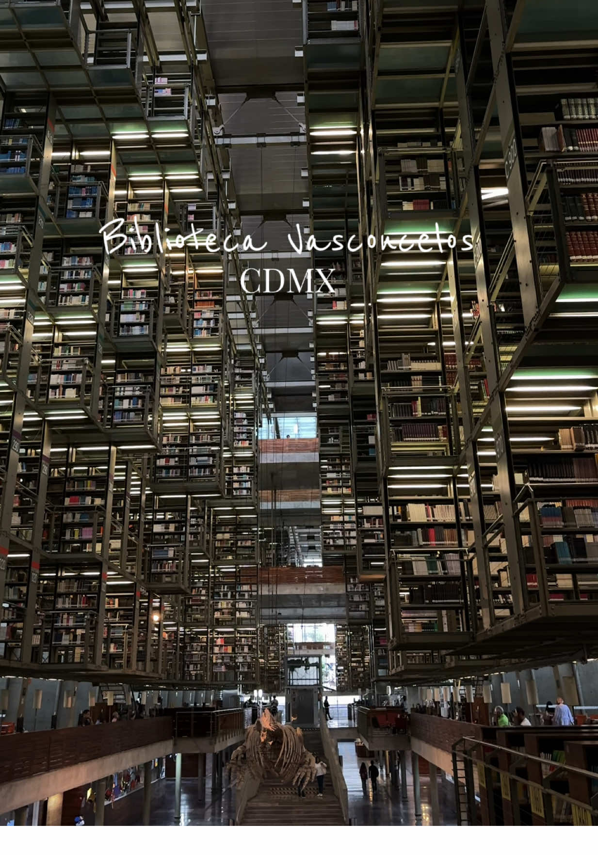 this library in Mexico City is a dreaaaaam 😭 a literal work of ART. The silence was so beautiful  10/10 recommend visiting- beware you may be convinced to get rid of your kindle and head to you local library  📍Biblioteca Vasconcelos, Cuidad de México #travel #mexico #mexicocity #traveltiktok #traveltok #mexico🇲🇽 #mexicocheck #mexicolindoyquerido #mexicotravel #mexicotiktok #mexicocity🇲🇽 #ciudaddemexico #cdmx #cdmx🇲🇽 #cdmxlife #biblioteca #bibliotecavasconcelos 