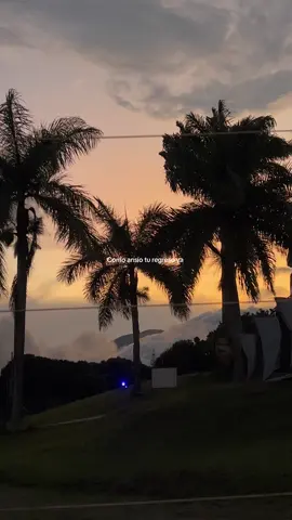 Como ansío tu regreso ya #fyp #viralvideos #salsa #salsaromantica #fypシ゚ #paratii #indirectas #canciones #baile #cdl #fypp #novios #pareja #amor #viralvideos 