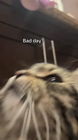 bad day? 😍