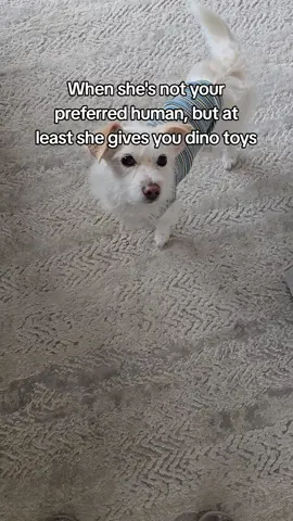 Dino toys make her more likeable 