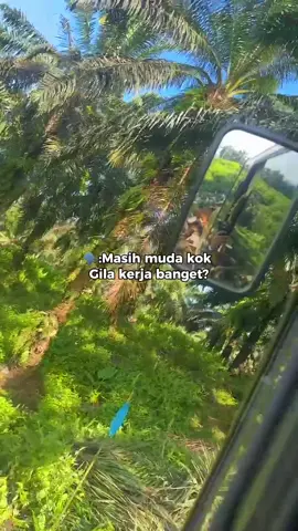 😝#opratormuda #bismillahfyp #kulisawit #xyzbcafyp #bismillahfyp 