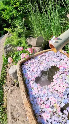 #flower #sea #spring #water #Love