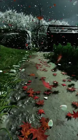 #vibes #aesthetic #nature #naturevibes #calmingvibes #chillvibes #views 