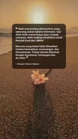 Allah Menaruhmu..  ...  #Bismillah  #.. Di tempatmu yang sekarang bukan karena kebetulan.. Tapi Allah telah Menentukan Jalan yang Terbaik untuk mu🤲😌🙏 #Nasihatdiri #Motivasidiri  #Quotes #Story  #Remindertomyself  #Ustadzah  Halimah Alaydrus