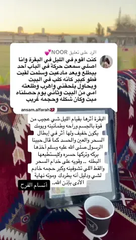 الرد على @NOOR💕 