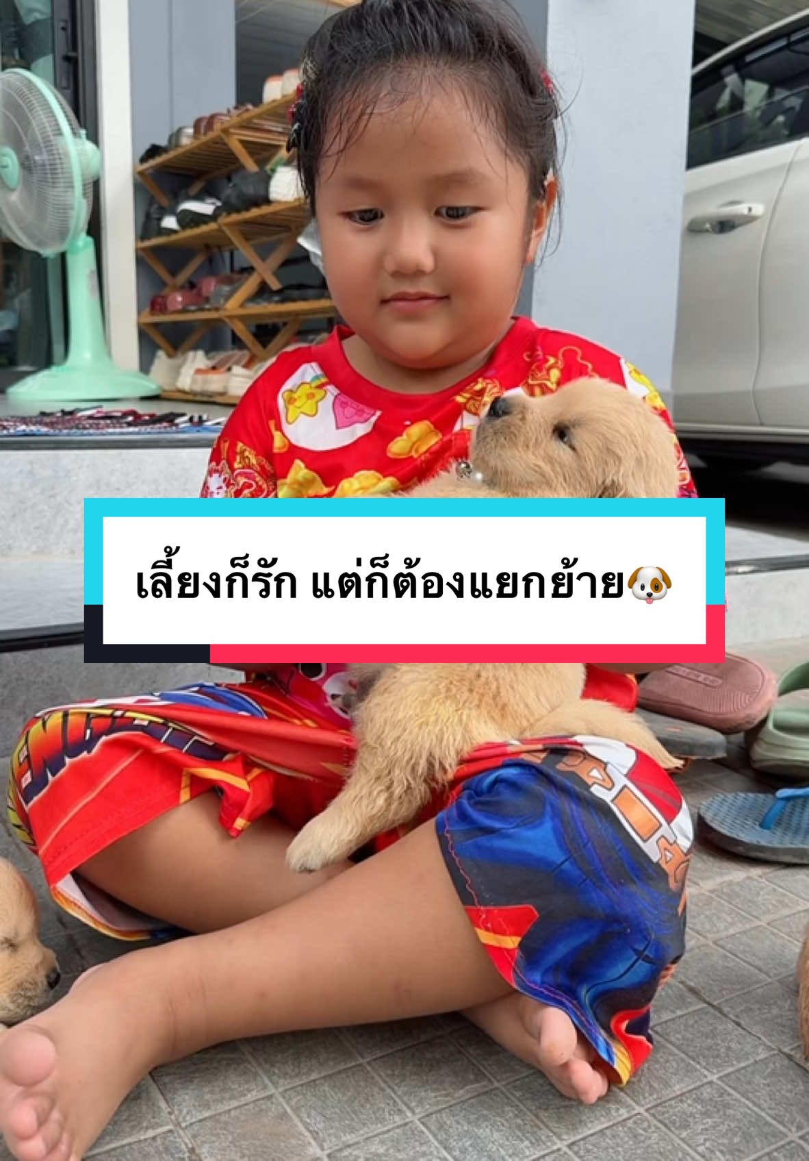 น้องได้ฟาร์ม แล้ว ใจหายนะ🐶🏡#คิดถึงด้วย😭 #ใครได้น้องไป ฝากดูแลน้องด้วยนะคะ 