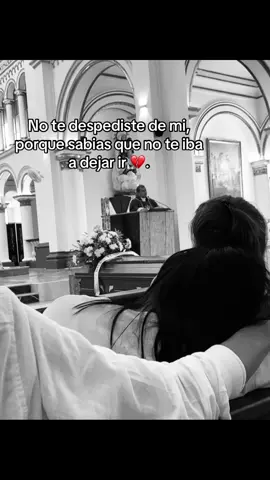 #🕊️🤍 #vuelaalto 