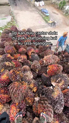 Dp kan dulu pak🥲#fyp #masukberanda #drivermuda #sawitaceh 