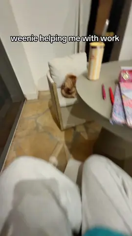 she hates me but I fed her pineapple 