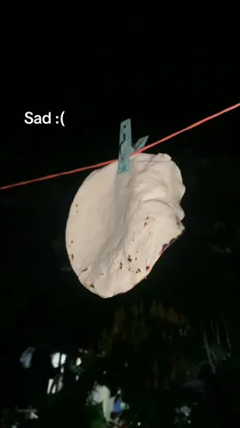 #pesopluma #juniorh #luna #tiktokvideos #saad #tortilla #paratii #fypシ゚ #humor #comedyvideo 