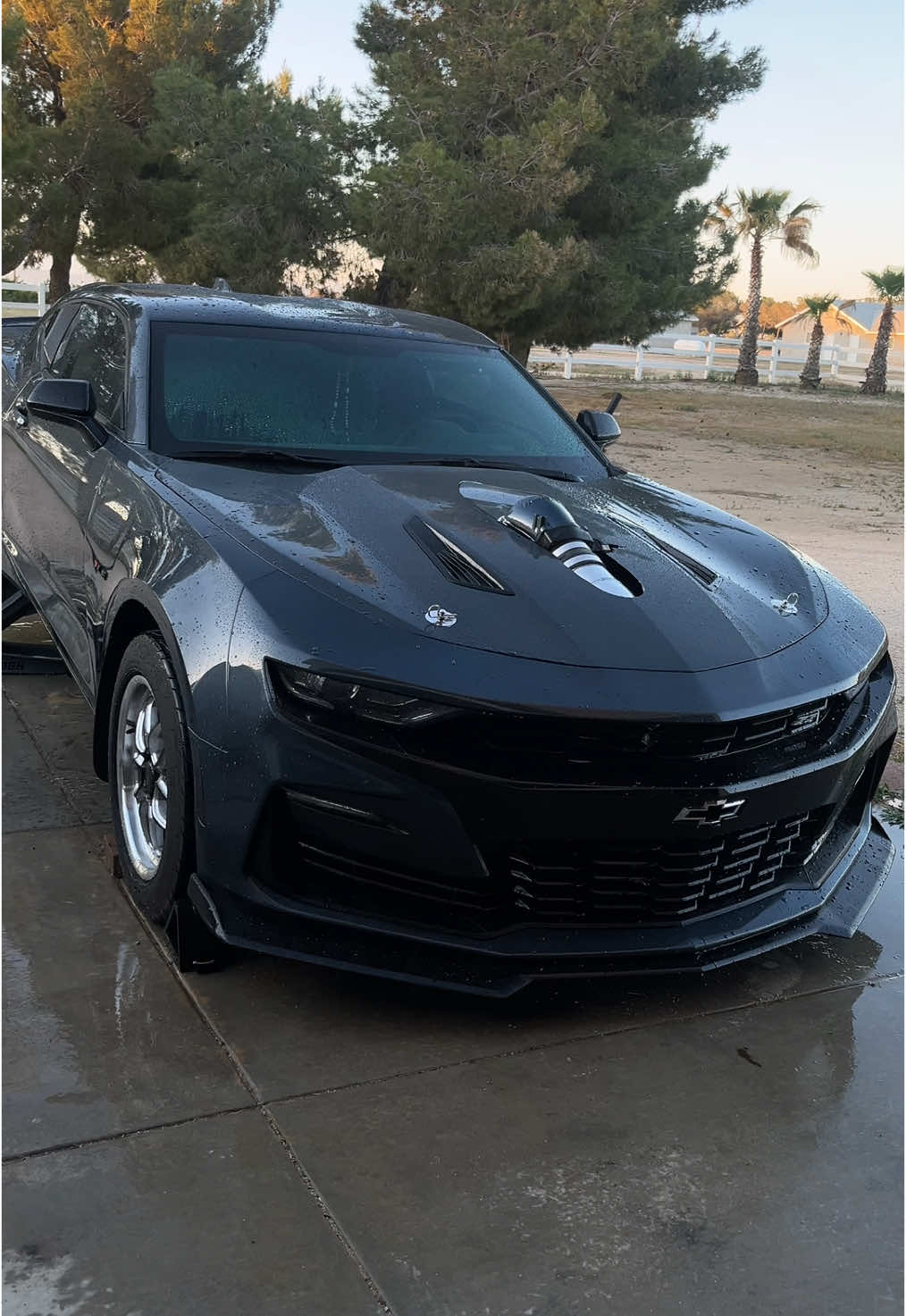 Sheerfab lid would look wicked 🤧 #camaro #cammedcamaro #freddytuned #onthemotor #chevy 