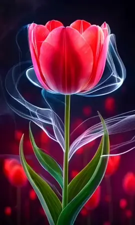 #живыеобои #обои4k #обоитюльпаны #