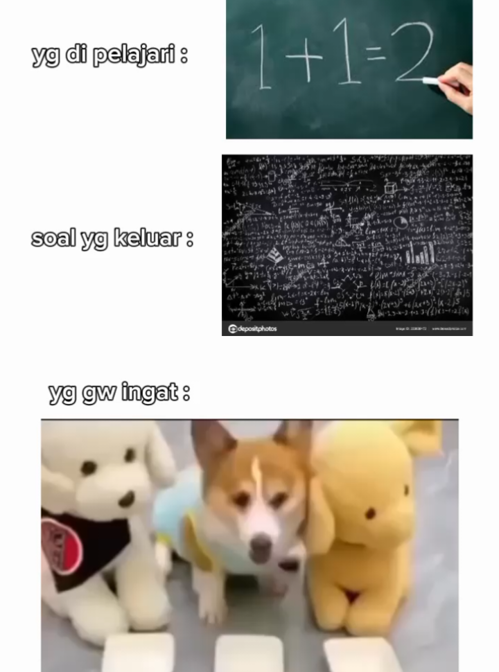 baby si kuning nihh 😹 @tepresakanimal  . . . #tepresak #memes #tiktok #masukberanda #tiktokviral #fypage #lucu #animals 