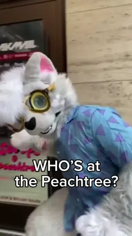 THAT’S ME! #furry #fursuit 