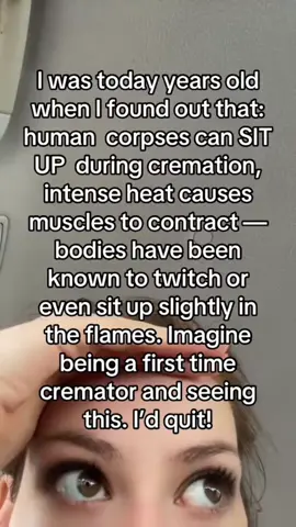 @heathersvidoefactory Cremation myths I wish would stay buried. With love, from your favorite mortician ⚰️ #cremation #educationalpurposes #laurenthemortician #funeralhome #facts 