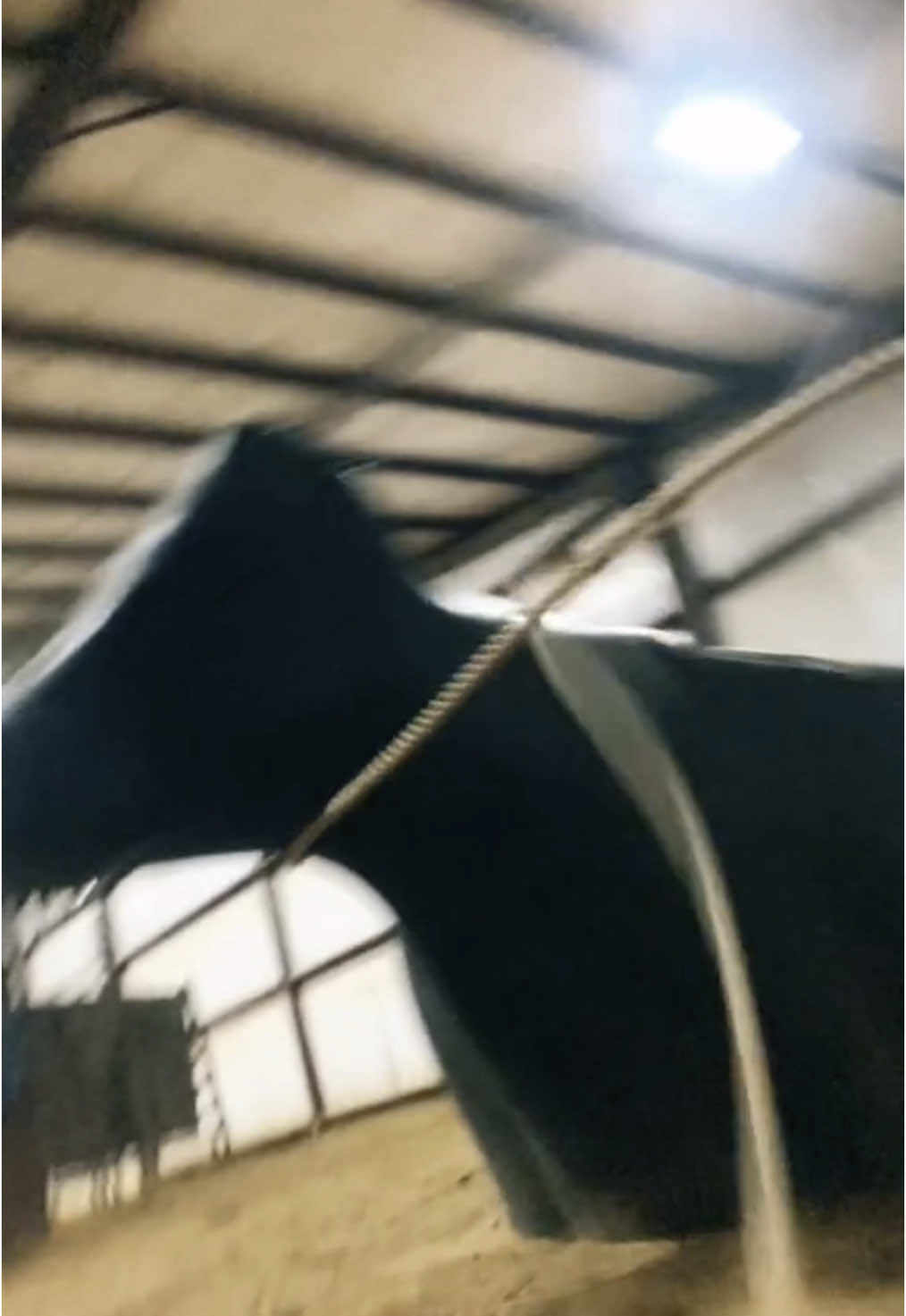 ♾️ #CapCut #fyp #foryoupage #fypシ゚viral #fypシ #rodeotok #smartyroping #breakawayroping #breakawayroper #breakawayropingtips #rancher 