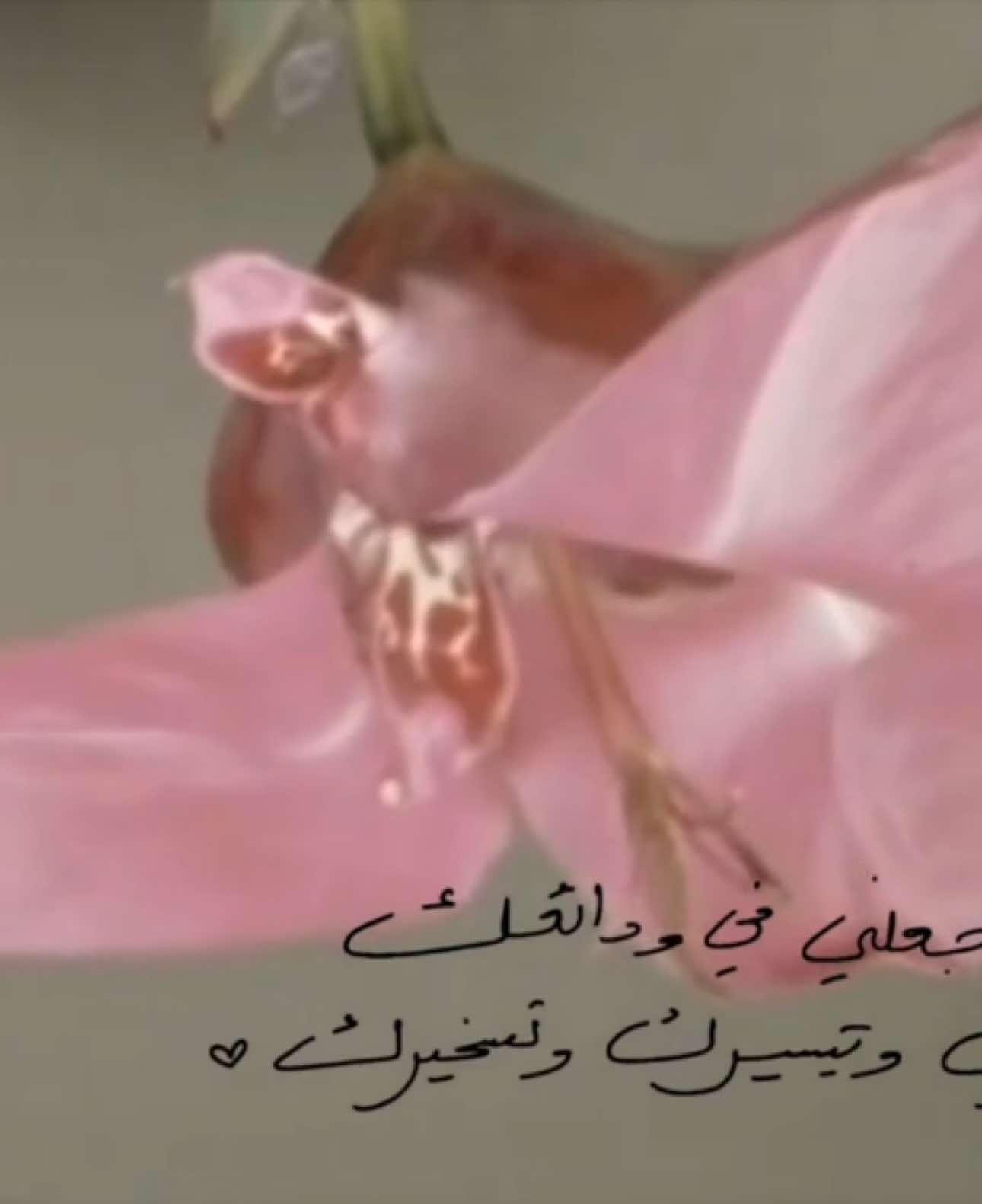 قال ﷺ ‏« إن الله إذا استُودِع شيئًا حفظه »