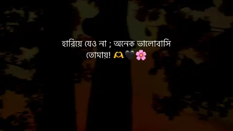 হারিয়ে যেও না ; অনেক ভালোবাসি তোমায়! 🫶🖤🌸 #f#fypシf#foryouu#unfreezemyacountt#tiktoks#statusrohan__166 
