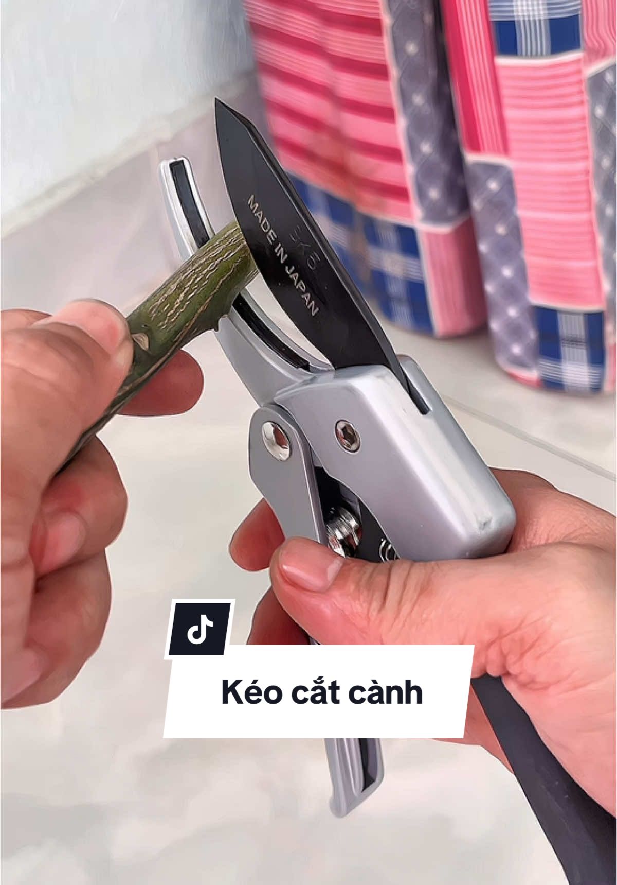 Kéo cắt cành có trợ lực của Nhật. #keocatcanh #keocatcanhtroluc 