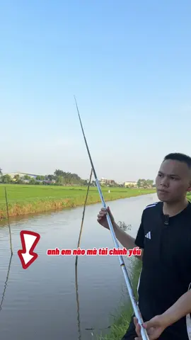 lục mạch thần kiếm 10h 199k #thuanhuyenfising #xuhuong #caucagiaitri 