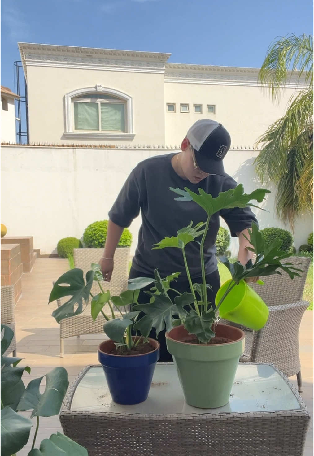 nuevamente siendo una chica de las plantas 🪴#chefquintanilla #plantas 